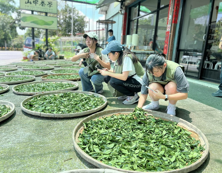 農STAY高中職生農體驗  三天兩夜「茶米之鄉-鹿谷茶與米的對話」 @欣蒂愛玩 旅遊美食地圖