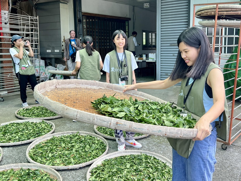 農STAY高中職生農體驗  三天兩夜「茶米之鄉-鹿谷茶與米的對話」 @欣蒂愛玩 旅遊美食地圖