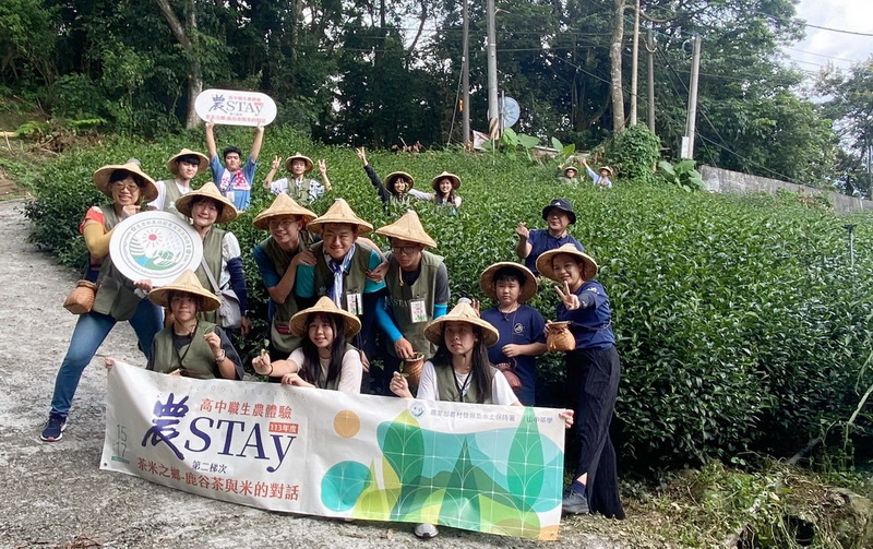 農STAY高中職生農體驗  三天兩夜「茶米之鄉-鹿谷茶與米的對話」 @欣蒂愛玩 旅遊美食地圖