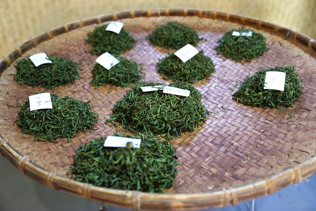 【南投〡旅遊】日月潭綠能電動船深度旅遊體驗報導｜包船、DIY、音樂湖上派對，暑假全家必玩！ @欣蒂愛玩 旅遊美食地圖