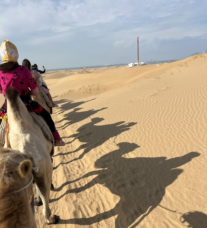 出國旅行免換卡神器｜【QK eSIM 全球上網】一鍵啟用 輕鬆搞定 @欣蒂愛玩 旅遊美食地圖