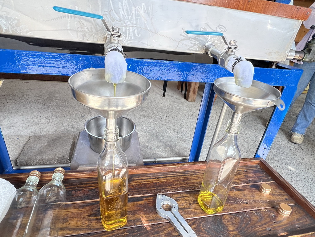 雲林。古坑華山小旅行|咖啡香、茶油香、山林香,一次收進口袋名單 @欣蒂愛玩 旅遊美食地圖 雲林。古坑華山小旅行|咖啡香、茶油香、山林香,一次收進口袋名單 @欣蒂愛玩 旅遊美食地圖