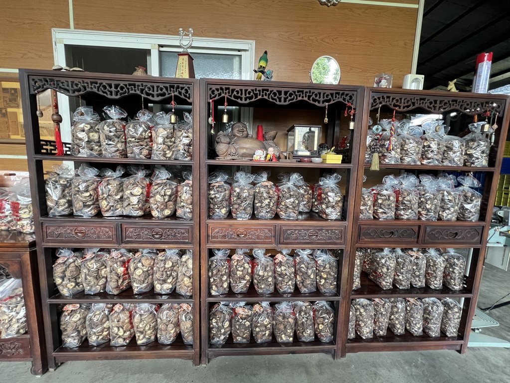 雲林。古坑華山小旅行|咖啡香、茶油香、山林香,一次收進口袋名單 @欣蒂愛玩 旅遊美食地圖 雲林。古坑華山小旅行|咖啡香、茶油香、山林香,一次收進口袋名單 @欣蒂愛玩 旅遊美食地圖