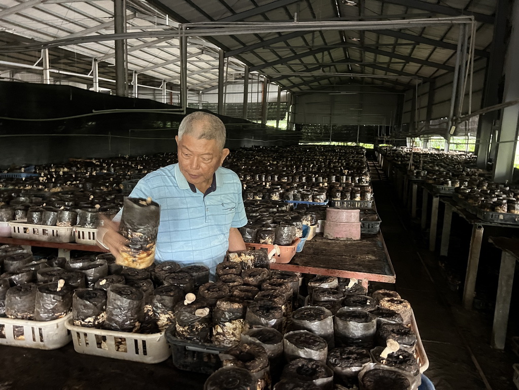 雲林。古坑華山小旅行｜咖啡香、茶油香、山林香，一次收進口袋名單 @欣蒂愛玩 旅遊美食地圖
