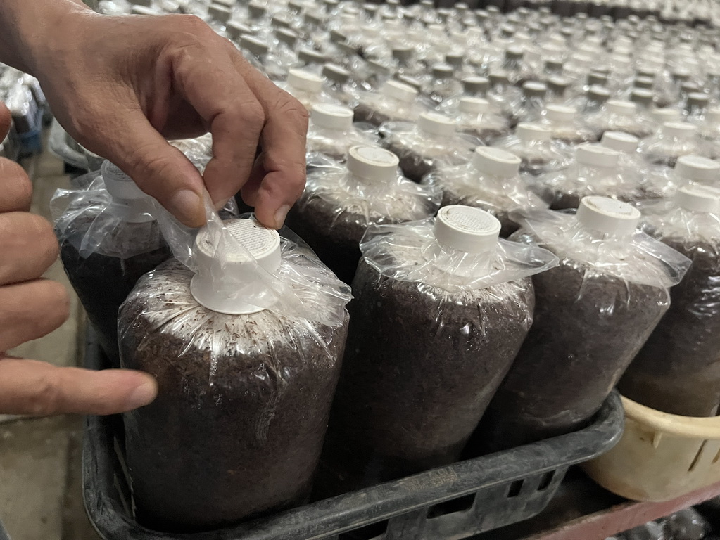 雲林。古坑華山小旅行|咖啡香、茶油香、山林香,一次收進口袋名單 @欣蒂愛玩 旅遊美食地圖 雲林。古坑華山小旅行|咖啡香、茶油香、山林香,一次收進口袋名單 @欣蒂愛玩 旅遊美食地圖