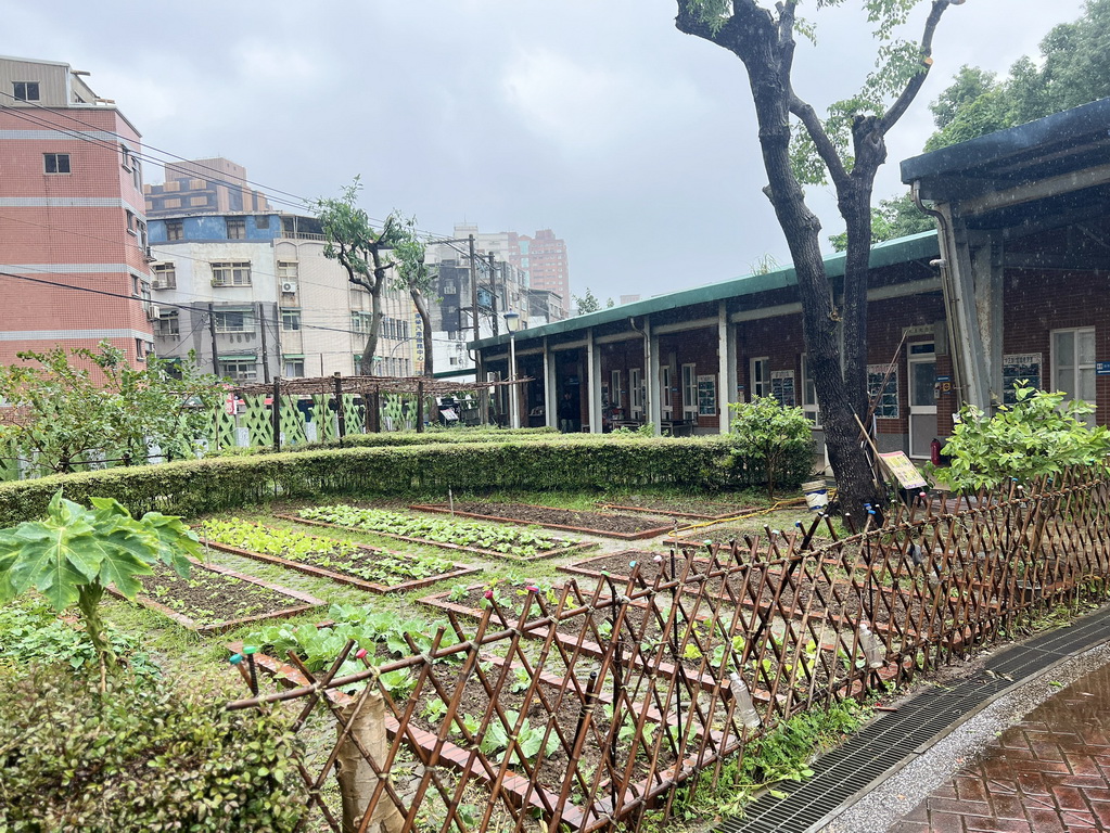 指尖下的溫柔 「植得去愛」團隊陪淡水油車里長輩蝶古巴特DIY  拼貼一個屬於自己的美好 @欣蒂愛玩 旅遊美食地圖