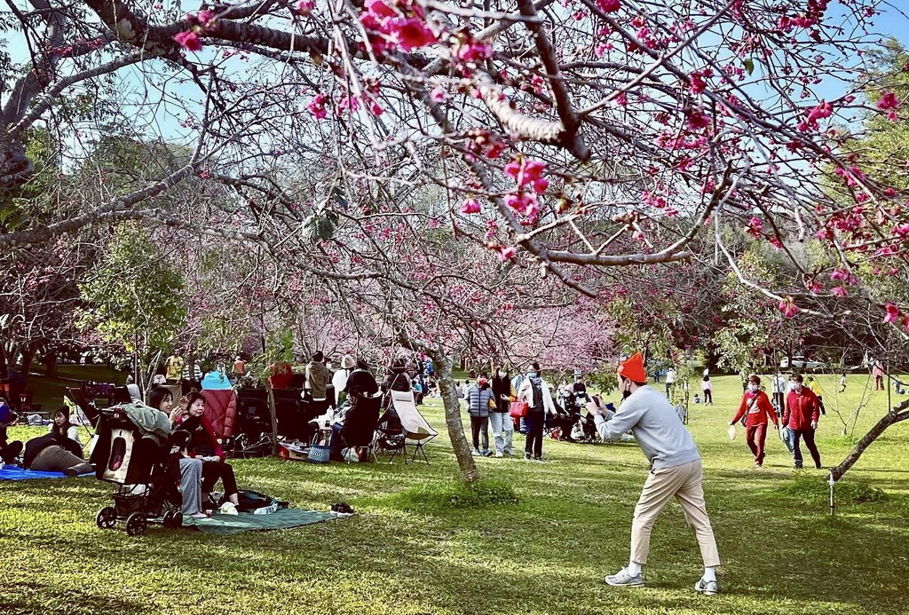 【南投〡美食】埔里新開粵菜餐廳推薦｜Blossom Chi 八蔘聚 用粵菜美味說故事 @欣蒂愛玩 旅遊美食地圖