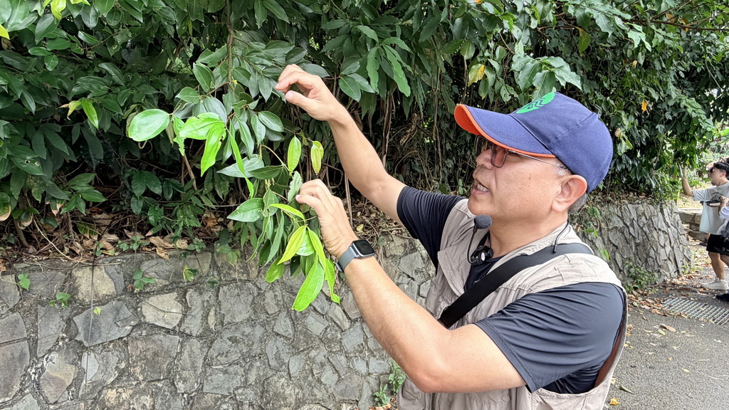 鹿谷一日遊走進茶鄉！從採茶、竹林到茶席，玩出山城慢旅行 @欣蒂愛玩 旅遊美食地圖