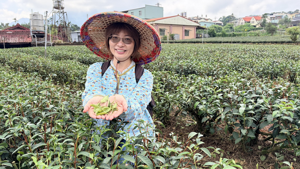 鹿谷一日遊走進茶鄉！從採茶、竹林到茶席，玩出山城慢旅行 @欣蒂愛玩 旅遊美食地圖