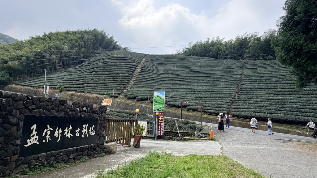 鹿谷一日遊走進茶鄉！從採茶、竹林到茶席，玩出山城慢旅行 @欣蒂愛玩 旅遊美食地圖
