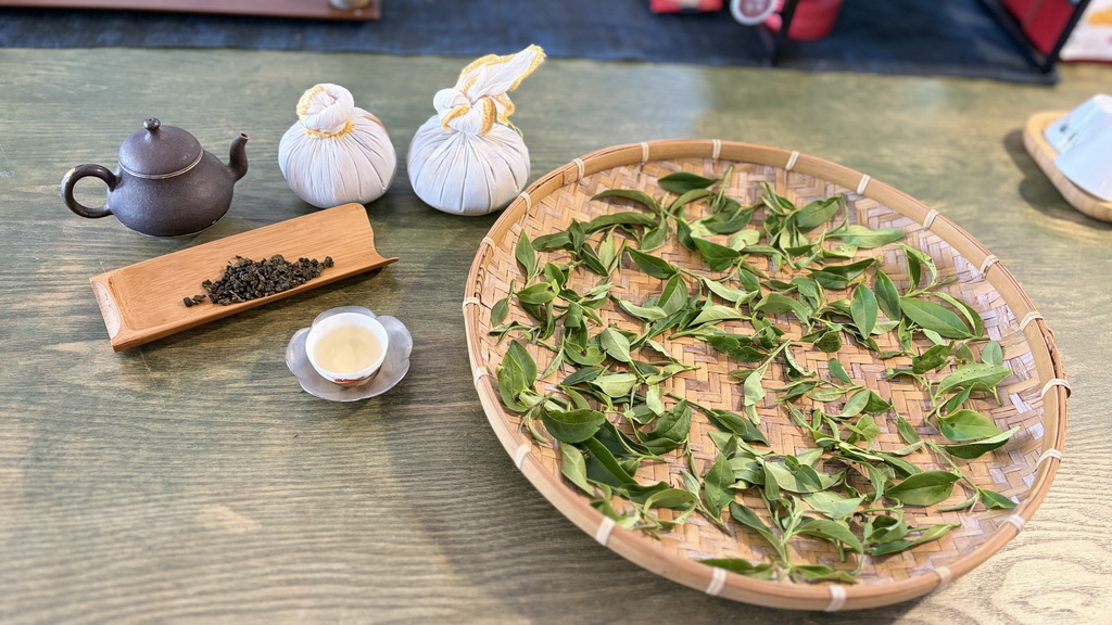 鹿谷一日遊走進茶鄉！從採茶、竹林到茶席，玩出山城慢旅行 @欣蒂愛玩 旅遊美食地圖
